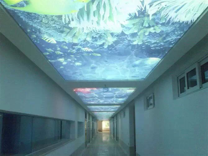 海洋馆走廊...